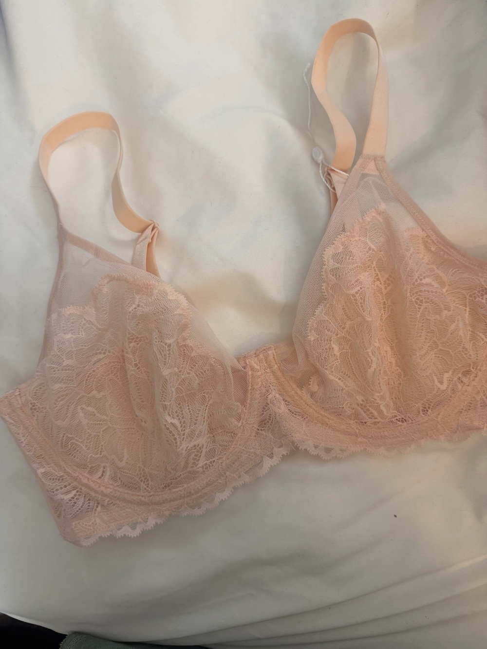 Sheer Lace Underwire Bra in Blush Pink
